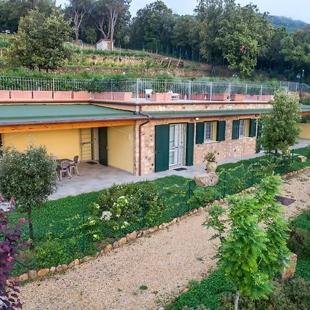 Borgo Dell'uccellaia - Smeraldo *