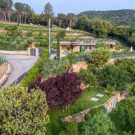 Borgo Dell'uccellaia - Smeraldo *